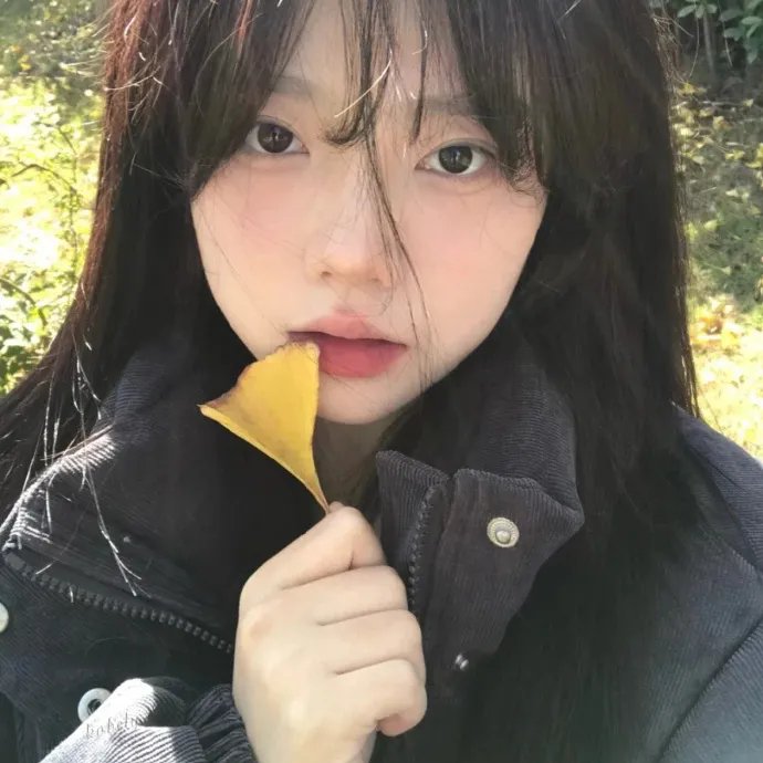 剑豪的一生